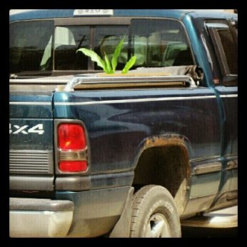 IMG_20120703_092257.jpg image